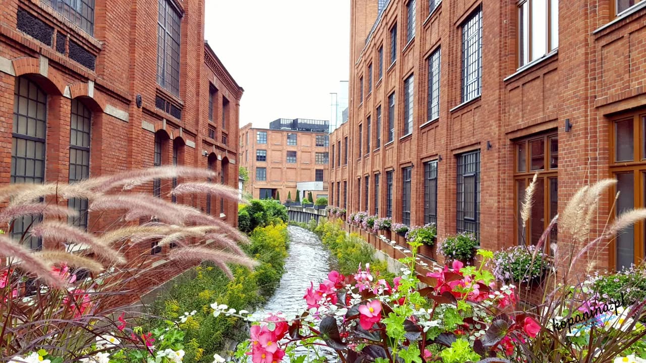 Atrakcje w Pabianicach, które musisz zobaczyć – poznaj lokalne skarby