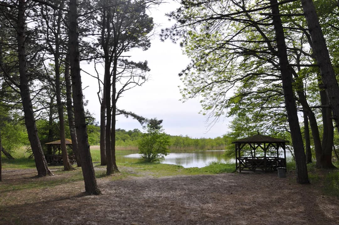 Najlepsze atrakcje w Dziwnowie, które musisz zobaczyć na wakacjach