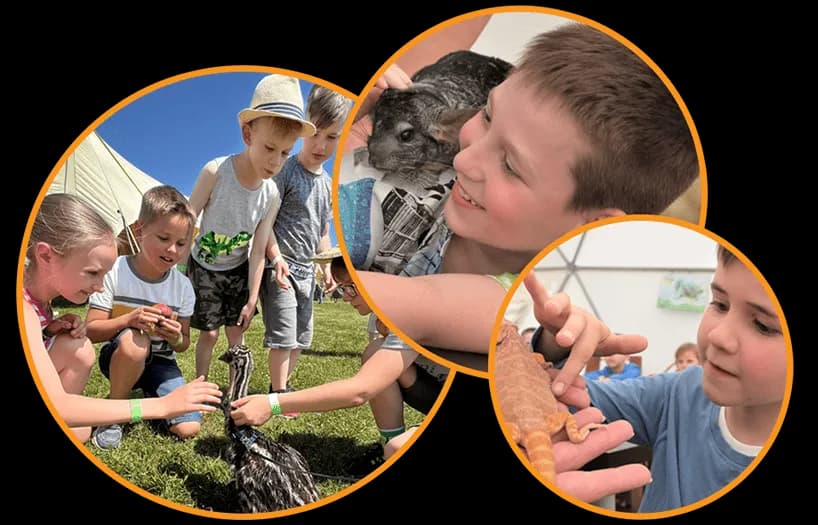 Borysew atrakcje: Odkryj najciekawsze miejsca i unikalne doświadczenia