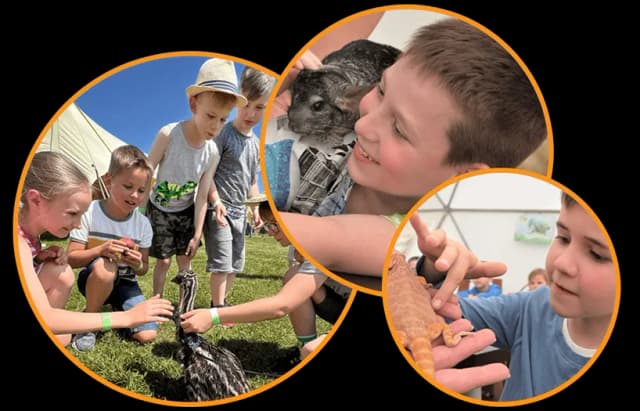 Borysew atrakcje: Odkryj najciekawsze miejsca i unikalne doświadczenia