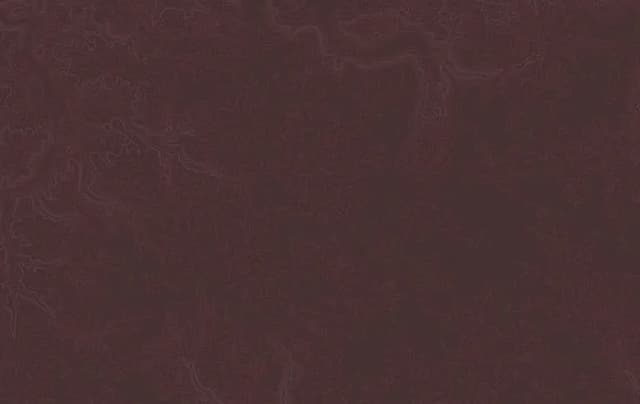 Najciekawsze atrakcje w Chojnie, które musisz zobaczyć