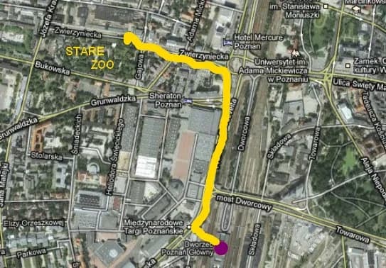 Jak dojechać z dworca PKP do zoo w Poznaniu - proste trasy i porady