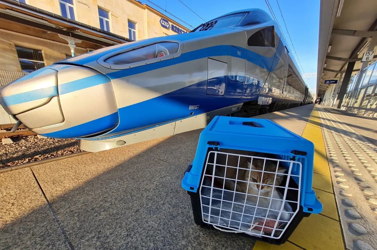 Jak wygląda pociąg Pendolino? Zaskakujące detale i komfort podróży